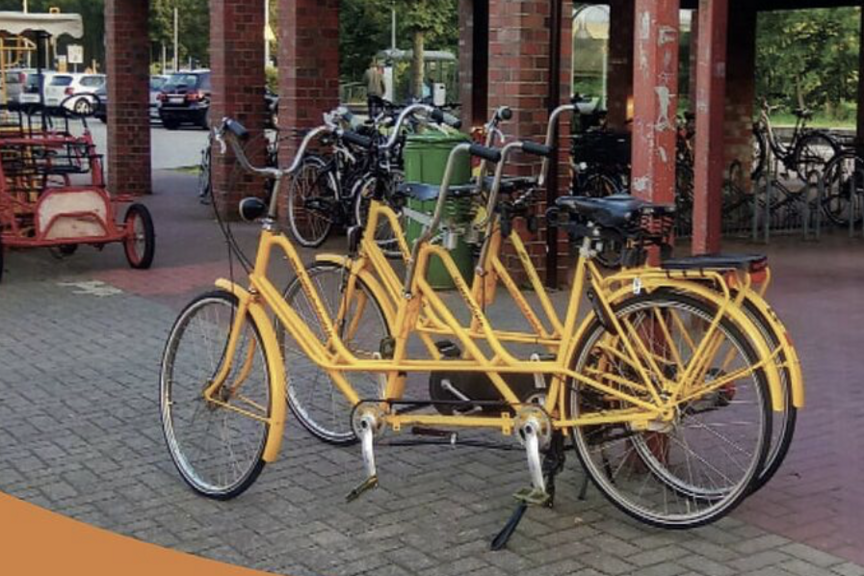 fahrradtasche luftmatratze Fahrrad Transporttasche,Schwere Beanspruchung 840D Oxford Flugzeug,Fahrrad Transporttasche Wasserdicht für 24-29 Zoll Mountainbike Faltrad MTB Rennrad,Klapprad Fahrradtransporttasche Sport & Freizeit Stuffed animal zoo storage prevent_JP Wähle Deine Größe:56 cm